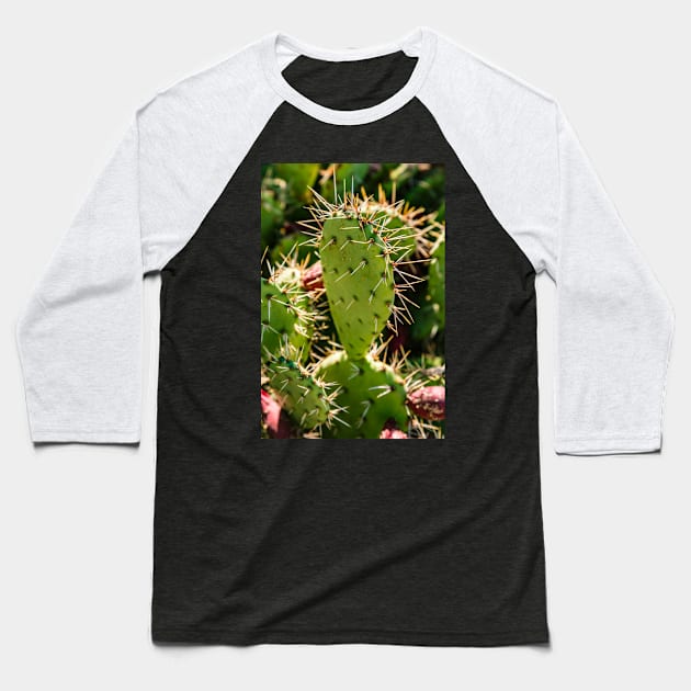 Opuntia Baseball T-Shirt by thadz